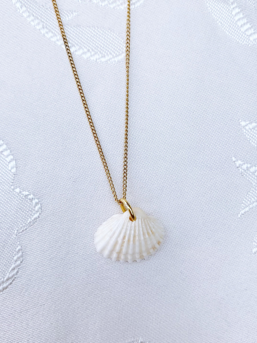 Sea shell necklace