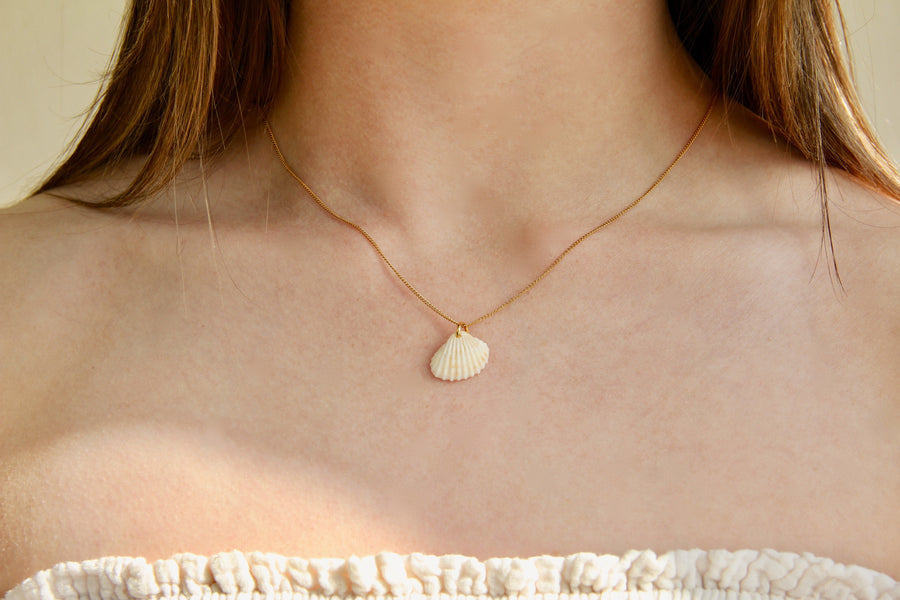 Sea shell necklace