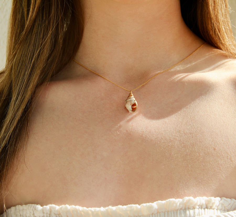 Rose summer shell necklace