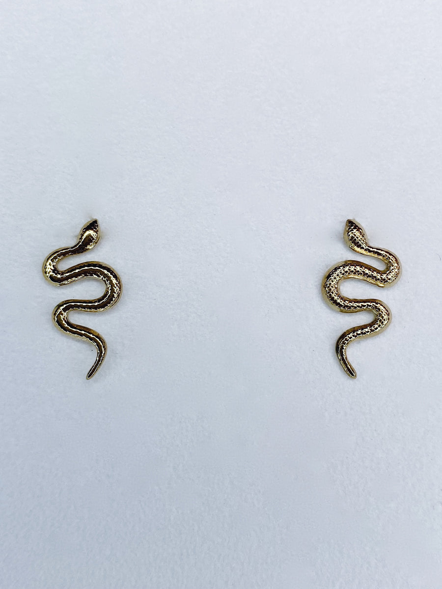 Elegant snake earrings