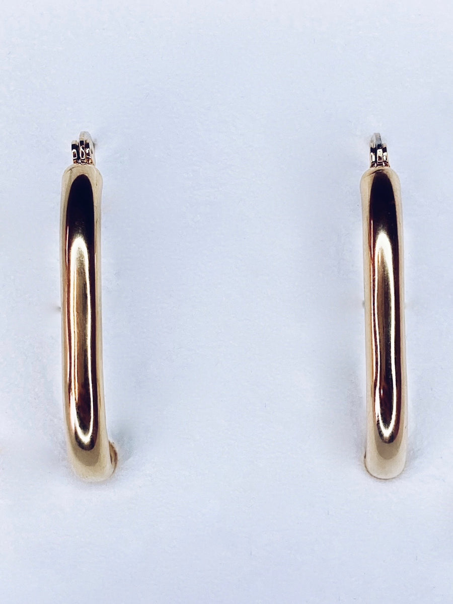 Smooth oval earrings